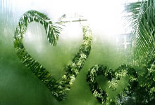 天涯论坛中的中年女网友：聊聊生活中的小确幸